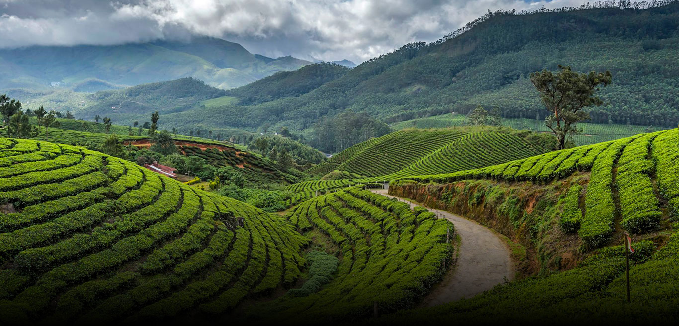 Luxury Travels Bali